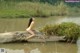 A naked woman sitting on a log in the water.